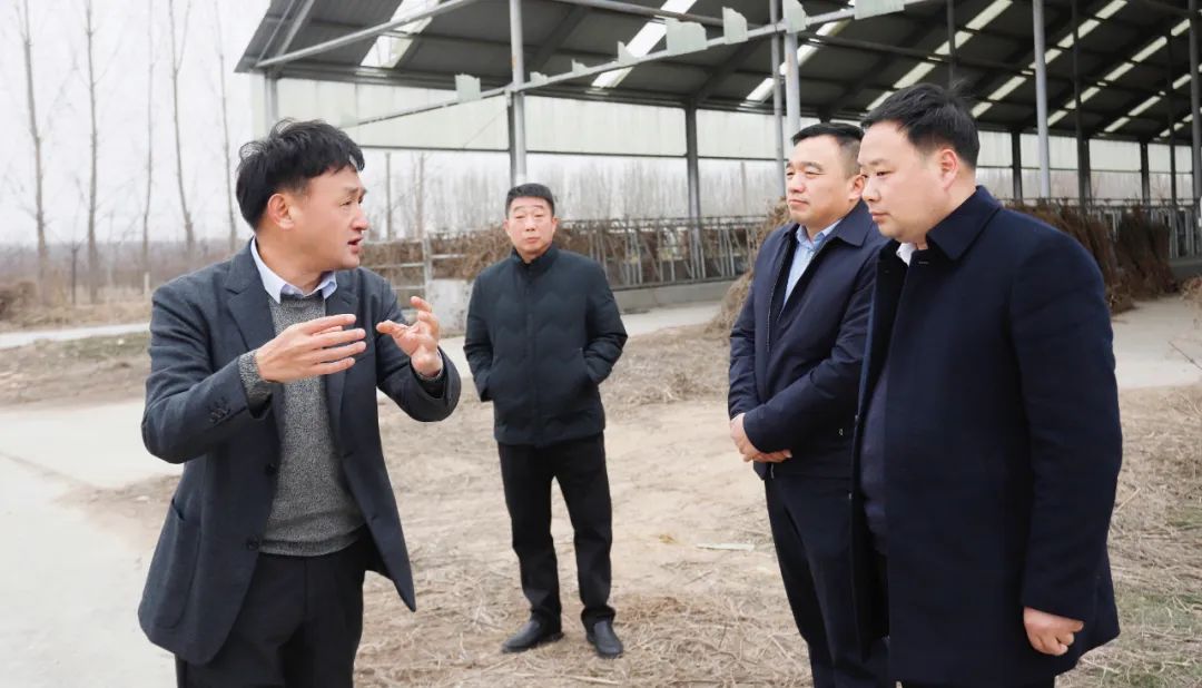 發(fā)揮產(chǎn)業(yè)優(yōu)勢 助力鄉(xiāng)村振興 | 民權(quán)縣委副書記、縣長王靜嫻會見關(guān)曉彥董事長一行