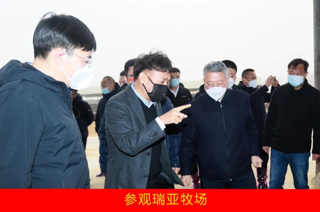 新年開新局 合作促發(fā)展丨佳木斯市委常委、副市長(zhǎng)閆志剛一行蒞臨花花牛乳業(yè)集團(tuán)及佳田企業(yè)考察座談