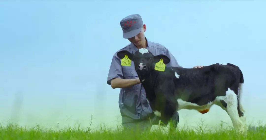河南省人大常委會黨組書記、副主任孔昌生蒞臨花花牛魯山瑞亞牧場參觀調(diào)研