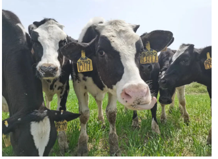 1735111888171257.png image.png