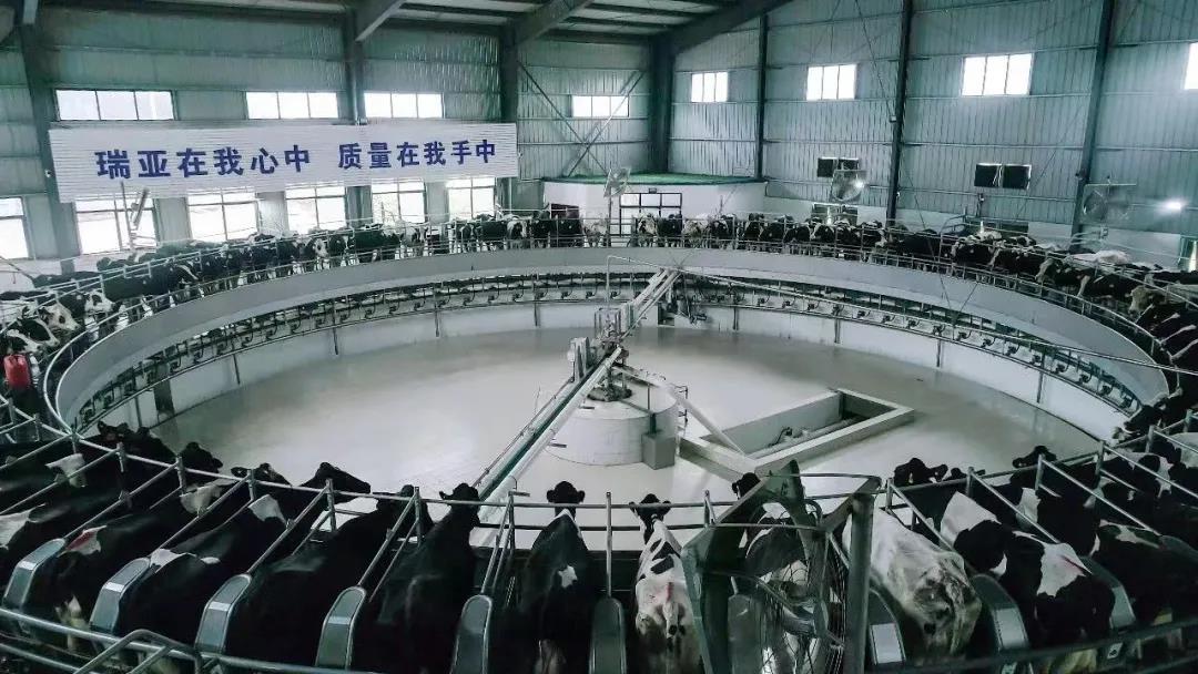 快訊 | 駐馬店市委副書記、市長李躍勇一行蒞臨花花牛乳業(yè)集團平輿瑞亞牧場調(diào)研