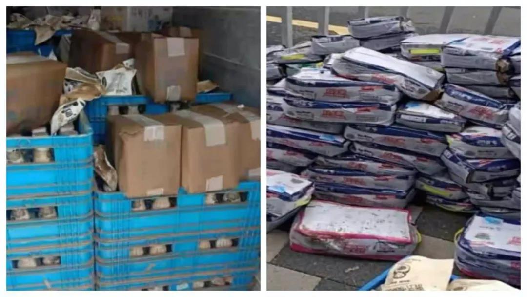 【乳報·聚焦】“豫”難而上的中原牛人“太中了”！