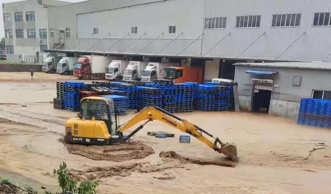 【乳報·聚焦】“豫”難而上的中原牛人“太中了”！