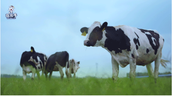 河南省高級(jí)人民法院院長(zhǎng)胡道才一行蒞臨花花牛乳業(yè)集團(tuán)開展“萬人助萬企”活動(dòng) 助力企業(yè)發(fā)展 河南省高級(jí)人民法院院長(zhǎng)胡道才一行蒞臨花花牛乳業(yè)集團(tuán)開展“萬人助萬企”活動(dòng) 助力企業(yè)發(fā)展