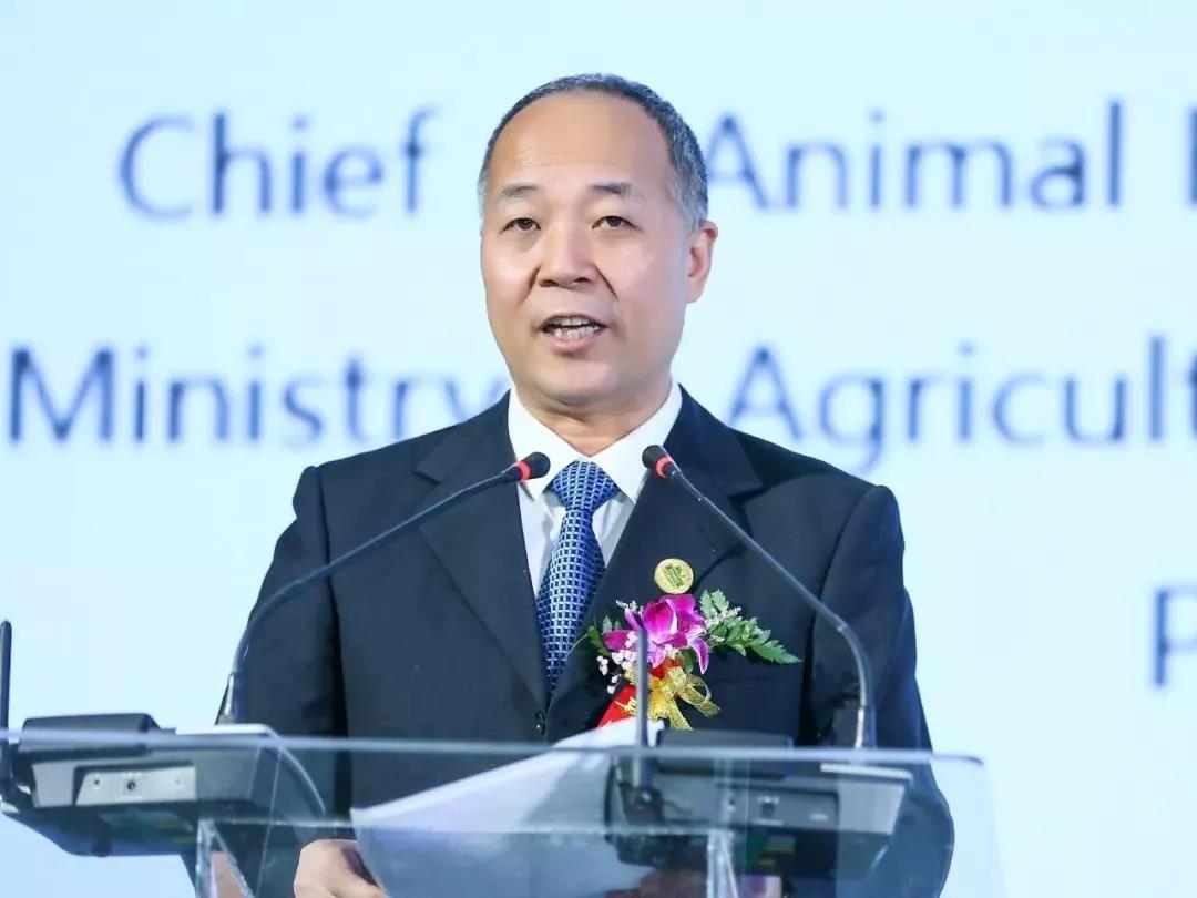 SDDDC走進河南，看看花花牛的國際范兒！