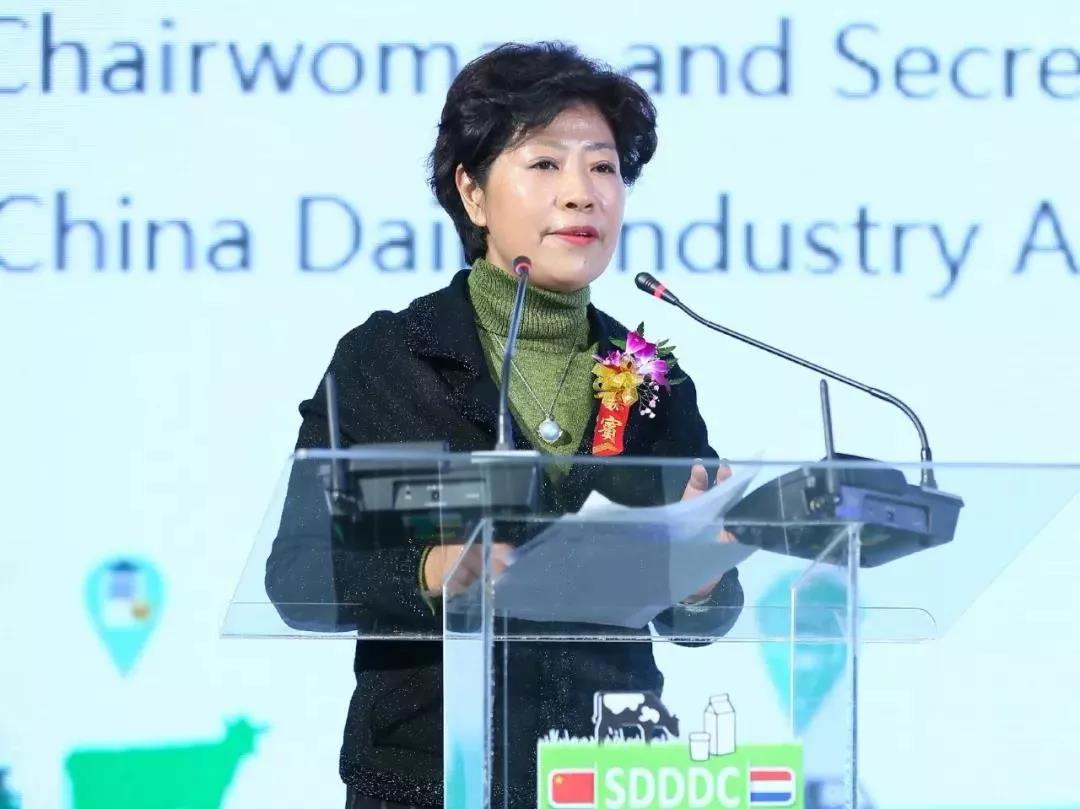 SDDDC走進河南，看看花花牛的國際范兒！