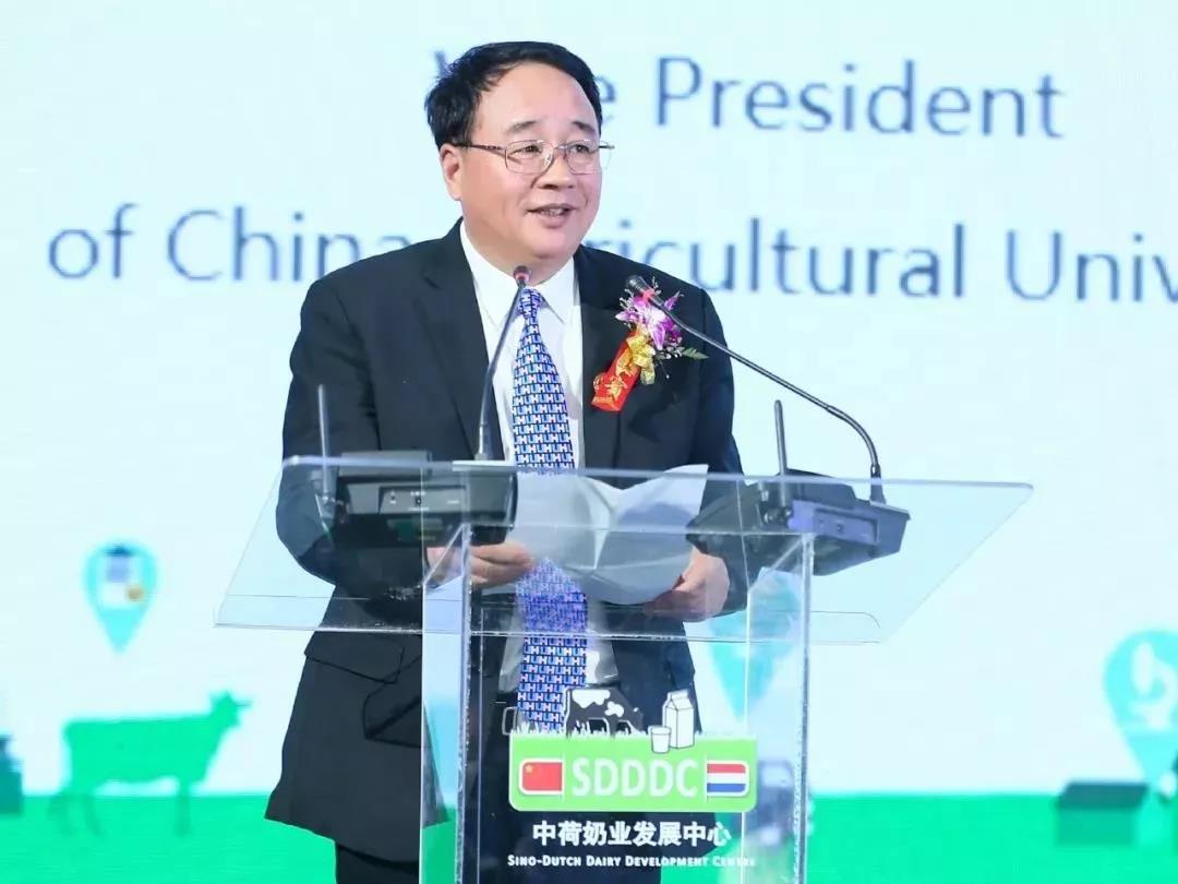 SDDDC走進河南，看看花花牛的國際范兒！