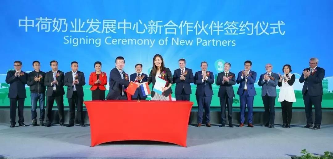 SDDDC走進河南，看看花花牛的國際范兒！