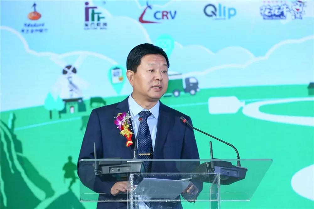 SDDDC走進河南，看看花花牛的國際范兒！