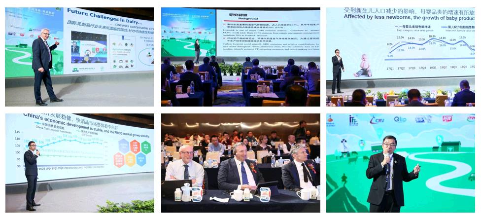 SDDDC走進河南，看看花花牛的國際范兒！