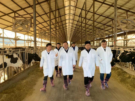 寧夏回族自治區(qū)農(nóng)業(yè)農(nóng)村廳黨組書(shū)記、廳長(zhǎng)王剛一行蒞臨花花牛乳業(yè)集團(tuán)調(diào)研