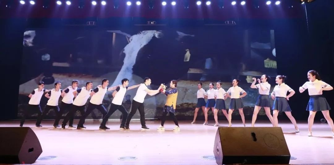 “贏在2019”，花花牛乳業(yè)集團(tuán)2019年新春晚會(huì)盛大開幕