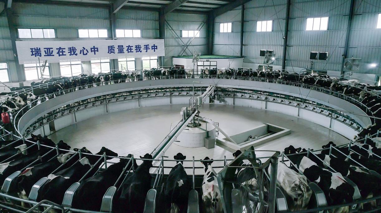 又雙叒叕獲獎啦！花花牛榮獲“乳品質(zhì)量安全管理 優(yōu)秀企業(yè)”