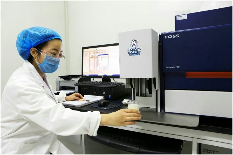 花花牛：務(wù)實、創(chuàng)新領(lǐng)潮市場 大企業(yè)體現(xiàn)大擔(dān)當(dāng)