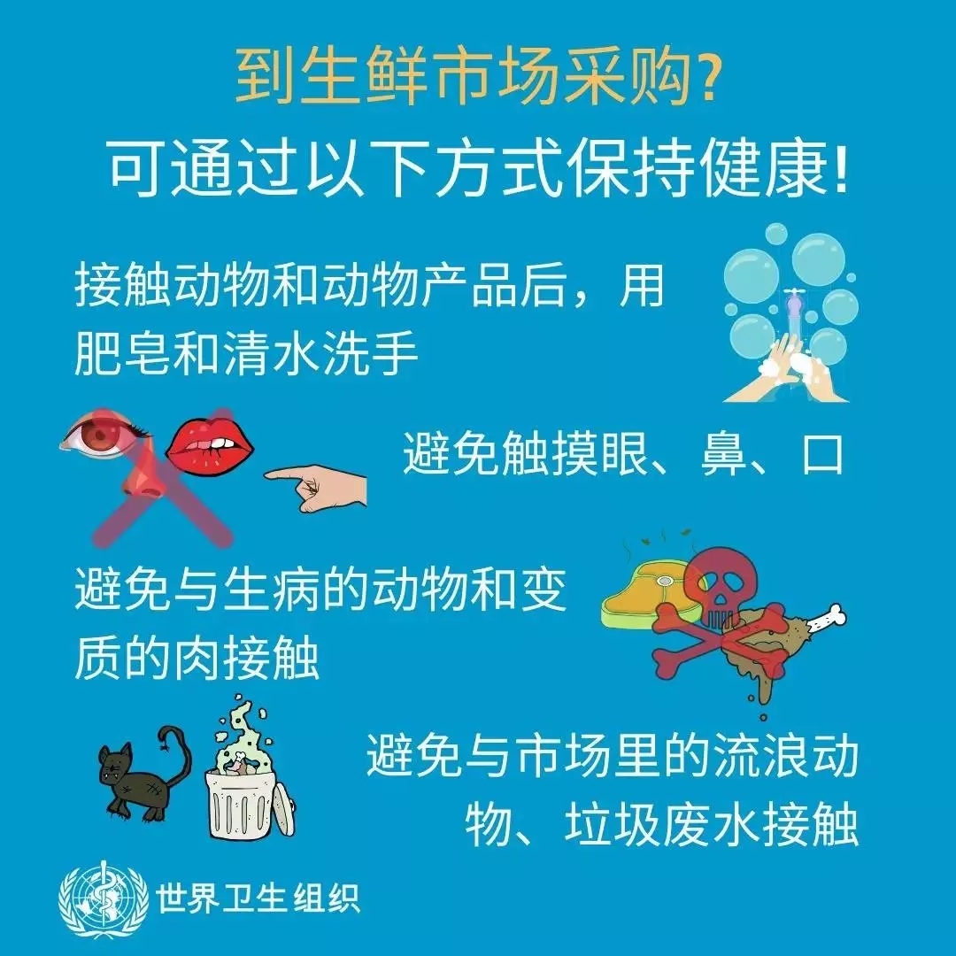 花花牛 | 共克時(shí)艱、遏制疫情，請(qǐng)相信國(guó)家力量！