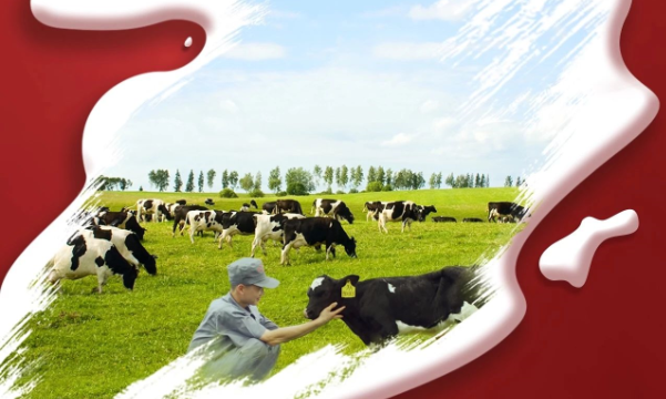 喜報(bào)！花花牛董事長(zhǎng)關(guān)曉彥再獲”優(yōu) 秀企業(yè)家”稱號(hào)